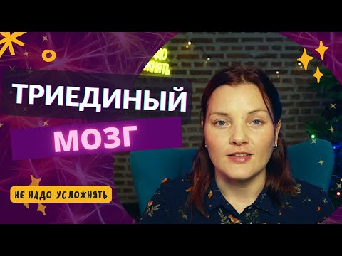 Концепция триединого мозга человека: миф или реальность?