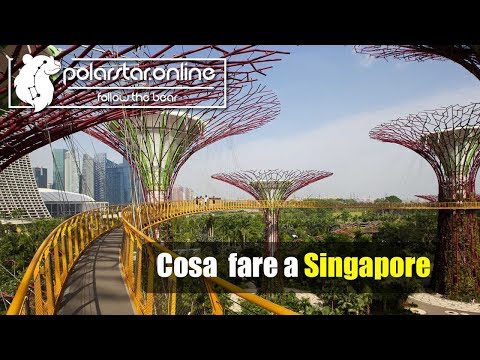Video: Cosa vedere e fare a Singapore's Gardens by the Bay
