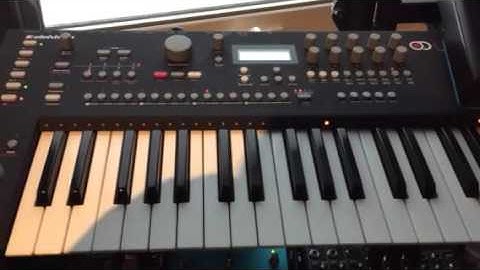 Karplus-Strong synthesis on Mutable Clouds