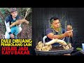 bonsai serut raff dari bahan yang hampir jadi kayu bakar jika tidak di tolong