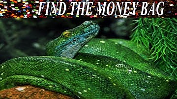 Find The Hidden Object | Hidden Object Game | AR Entertainment | Brain Teaser | Mind game