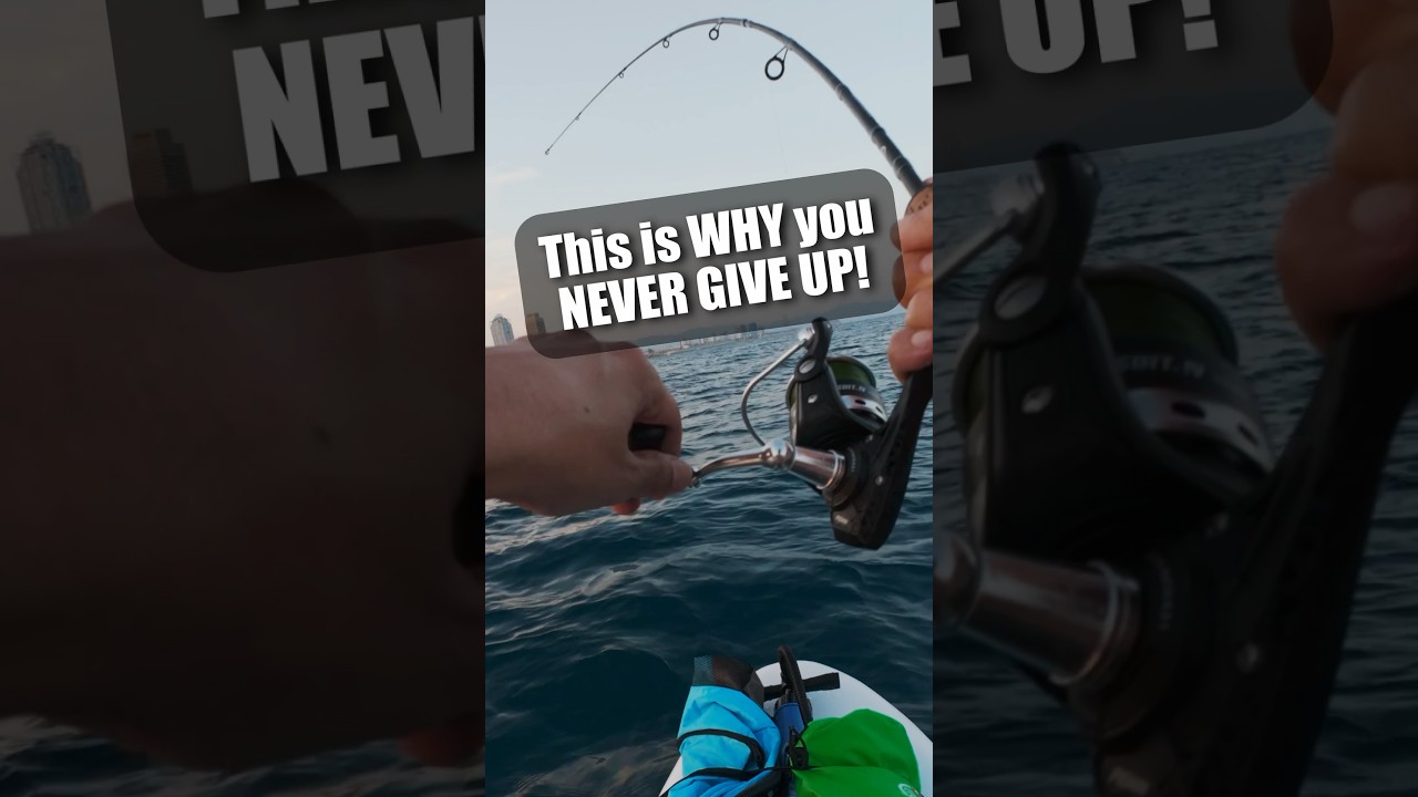 Last minute catch in Barcelona 