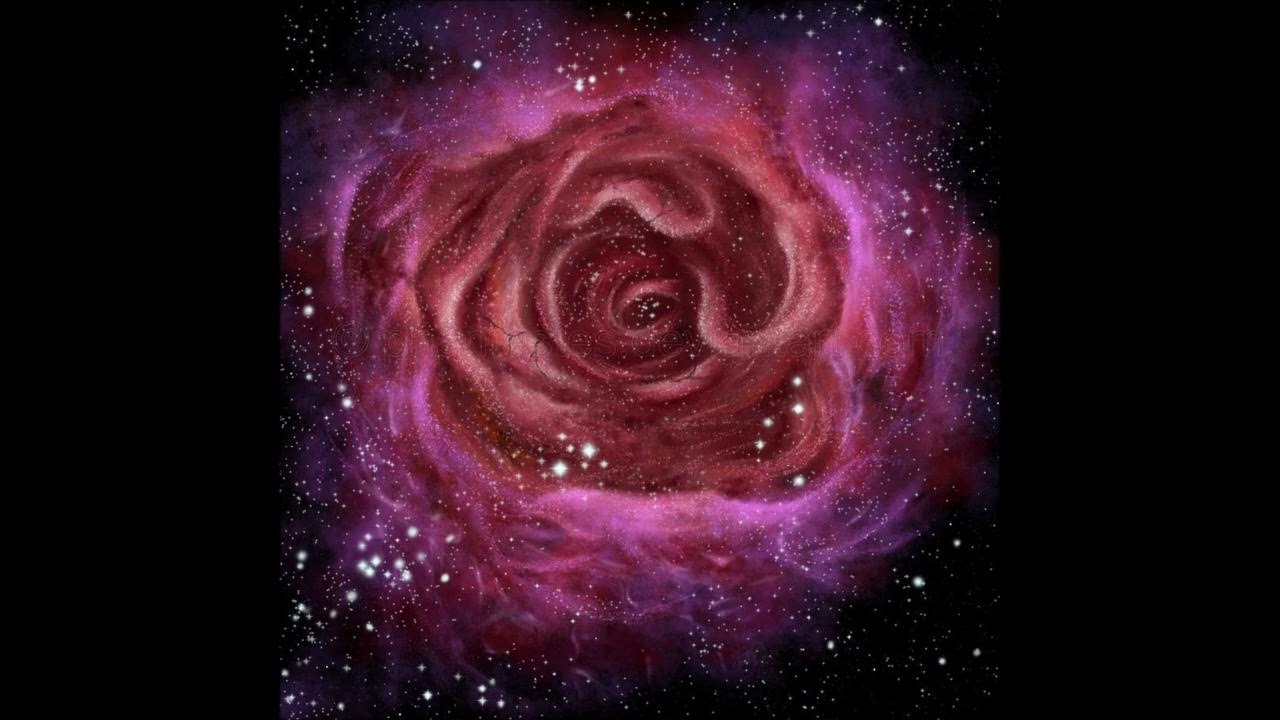 Галактика в виде цветов. Спитцер космический телескоп. Галактика ngc 5643. Nebula rose. Nebula rose.