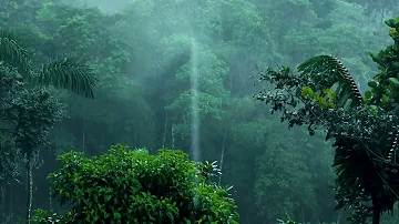 Relaxing Sound of Rain for insomnia and sleeping, studying, Meditation, Soul healing #rainforest