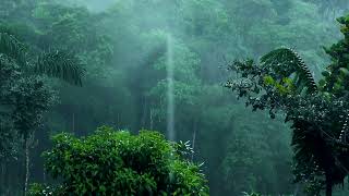 Relaxing Sound of Rain for insomnia and sleeping, studying, Meditation, Soul healing #rainforest