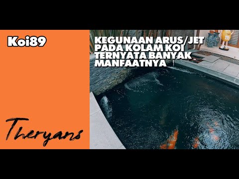 Video: Di Atas Dan Di Bawah Air - Pandangan Alternatif