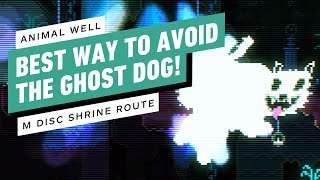 Animal Well - Best Route to Avoid the Ghost Dog (Best M Disc Route)