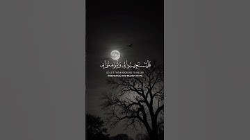 "وإذا سألك عبادي عني فإني قريب 🤲 | سورة البقرة – آية تهز القلوب" #قرآن #تلاوة_خاشعة #قرآن_كريم #آيات