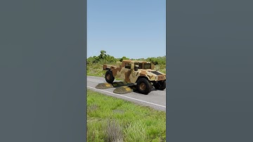 Big and Small Trucks & Cars vs 2 Big Speed Bumps #shorts #beamngdrive