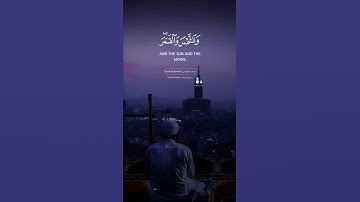 قرآن الكريم بصوت سعد الغامدي اجمل حالات واتس اب دينية سورة الانبياء 🎧😌