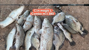 Câu lure cá chẽm bình Đại - chỉ cần khu vực cống những ngày gió chướng