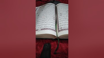 ألكهف (٦٠-٨٢) القارئ عصام العبيدي