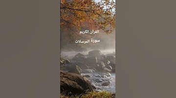 القرآن الكريم #المصحف #اكسبلور #تلاوات_رائعة #