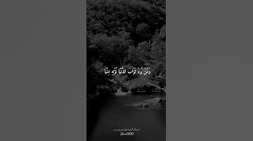 من سورة آل عمران | بصوت القارئ زين بدور