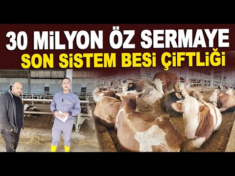 7 KARDEŞİN 30 MİLYONLUK DEV YATIRIMI! IZGARALI SİSTEM BÜYÜKBAŞ BESİ ÇİFTLİĞİ / ARSLAN HAYVANCILIK