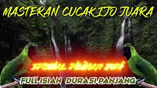 Masteran Cucak Ijo Juara ~ Full Isian Durasi Panjang