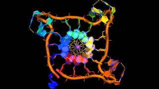 The human telomeric parallel G-quadruplex X-ray structure