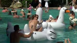 Day Four - Lay Day Pool Party - AHIRW 2016