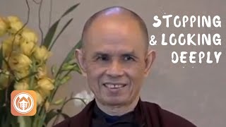 Stopping and Looking Deeply | Thich Nhat Hanh (short teaching video)