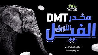 مخدر الفيل الأزرق DMT | ما هي حبوب الفيل الأزرق؟ وما أضرار و تأثير حبة الفيل الازرق على الصحة ؟