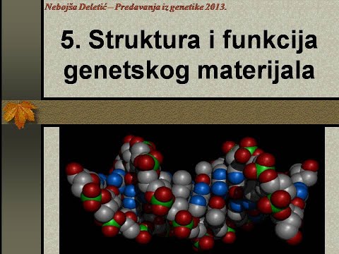 Predavanje 5  Struktura i funkcija genetskog materijala