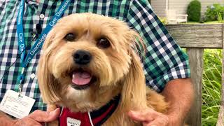 Care Dimensions Volunteers: Bob Doughty and Penny