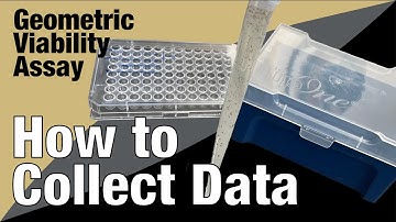 GVA Sample Preparation: How to Embed Cells in a Pipette Tip