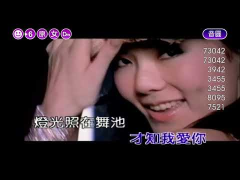 獨一無二~原聲原影~謝金燕~女原Dm調~伴唱~歌曲丙