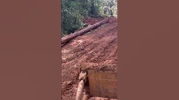 The most skilled Dozer operator pulling logs