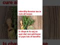 Women Infertility Tea: #shorts #viralvideo #hormones #tea