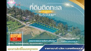 🌊ที่ดินติดทะเลชายหาดบางดีสวยมากๆ🌴เหลือเพียง5แปลงเท่านั้น!!!!🌴ด้านหน้าติดถนน เริ่มต้น แปลงละ 2.4 ลบ.