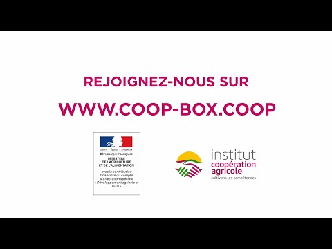 Playbox Porn en Traitement Visuel : Comment il Génère un Rendu Réaliste