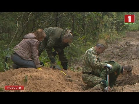 В Могилёвском районе