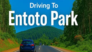 Driving Up Entoto Hill | Nature Meets History in Addis Ababa
