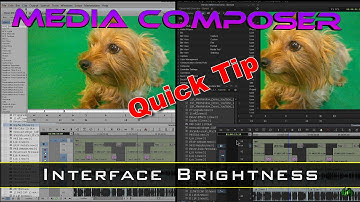 Media Composer Quick Tip - Interface Brightness