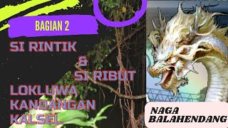 Naga Ningkurungan Si Rintik Dan Si Ribut Lokluwa Kandangan Kalimantan Selatan part 2