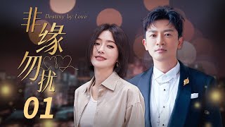 【ENG SUB】《非缘勿扰》第1集 Destiny by Love 1 刘琳意外结识房地产公司老板陆西诺  （主演：苏有朋、秦岚、熊乃瑾、谭俊彦 ）【CCTV电视剧】