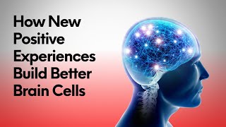 How New Positive Experiences Build Better Brain Cells