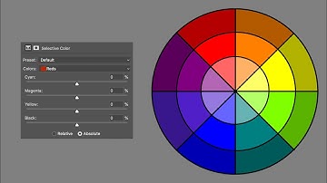 Guide to Selective Color in Photoshop