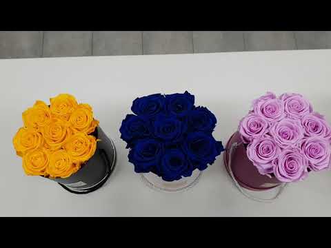 Video: Ako Pripraviť Ruže Na Zimný úkryt