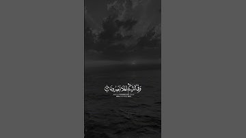 الشيخ سعود الشريم #قران_كريم #القرآن_الكريم #تلاوة_خاشعة #راحة_نفسية #quran #explore #اكسبلور #لايك