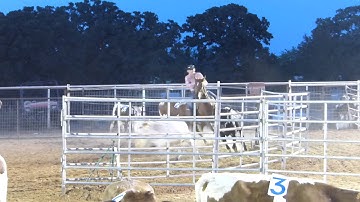 That Girl Dual Boon - "Girly" - sorting - Valley View Ranch