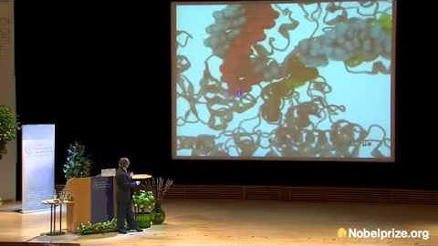 Birth & future of multi-scale modeling of biological macr...