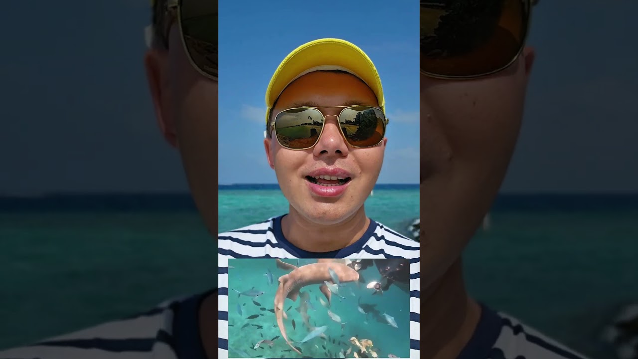 Rove at the Park в Дубае. Часть  2 