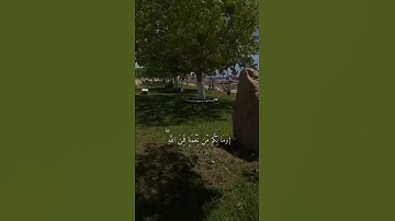 تلاوة هادئة تشرح الصدر للشيخ عبدالرحمن مسعد🤍