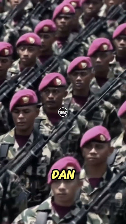 Marines and Denjaka deployed #shorts