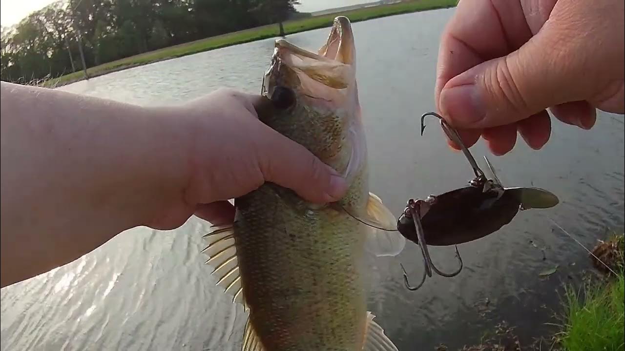 Vintage Fred Arbogast Black Jitterbug. The Best Retrieval For Catching
