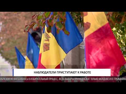 Наблюдатели приступают к работе