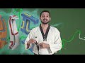 Taekwondo Cais SANTA CRUZ video aula 4