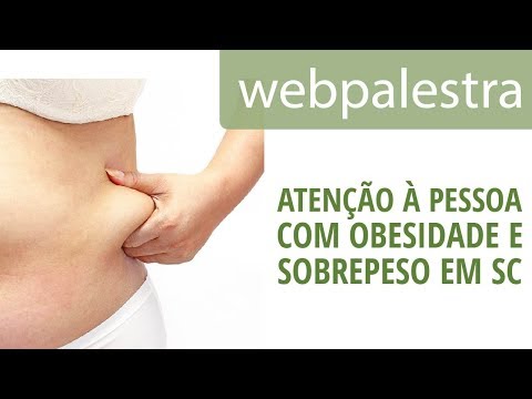 Webpalestra - Organização